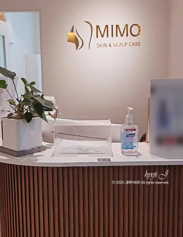  대구두피관리 솔직후기 | 진천동 미모에스테틱에서 첫 두피스케일링