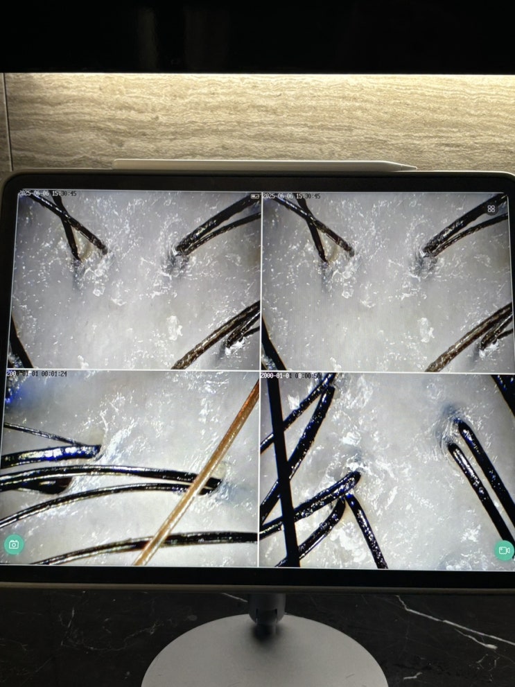  삼성역 미용실 케라스타즈 헤드스파 맛집 애런스로렌콤 헤어살롱