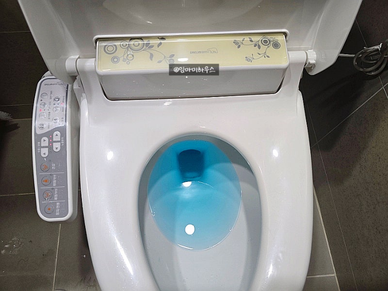 변기파란물 변기세정제 절대투입금지 이유