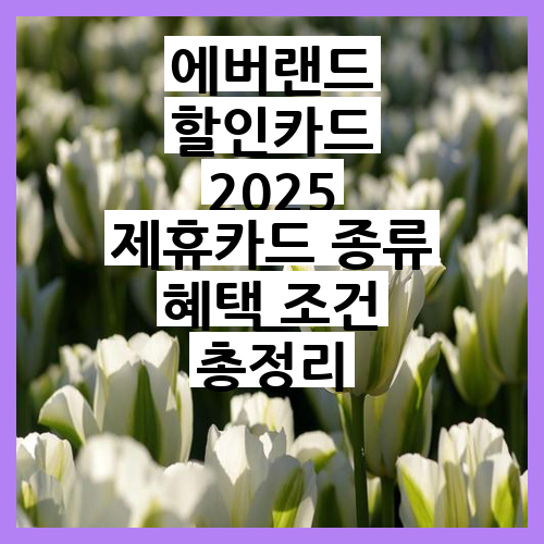 에버랜드 할인카드 2025 제휴카드 종류 혜택 조건 완벽정리와 꿀정보