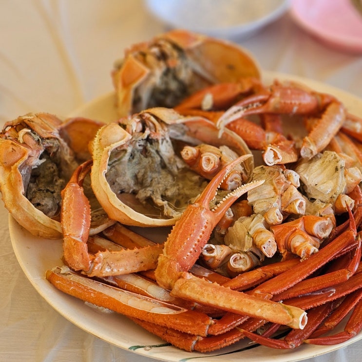  대포항 대게 맛집 좋다 게 콜키지 프리