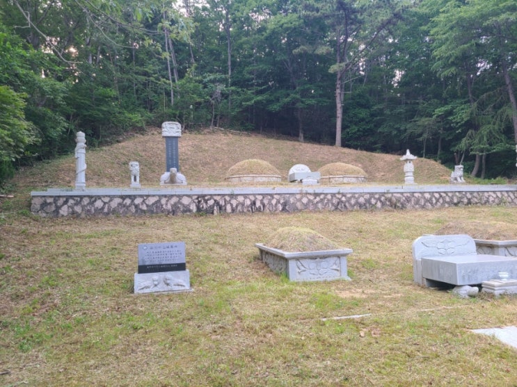  양산시 동면 법기리 봉분 4기 218평 연간관리서비스 벌초,제초대행("양산벌초대행")