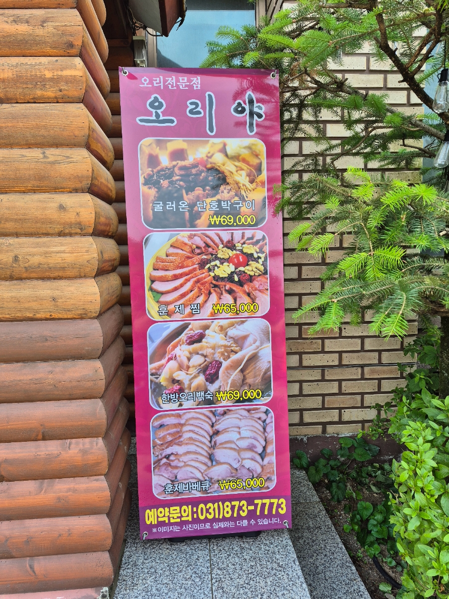 오리야 사진 3