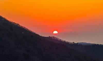 사진 8