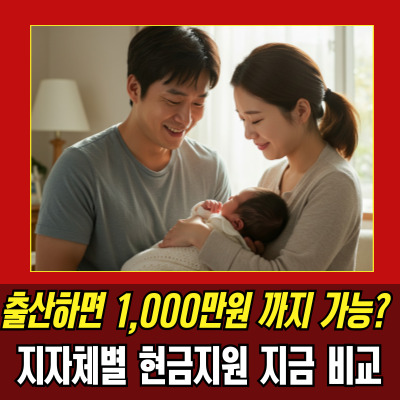  출산장려금지역별 비교, 서울과 전남 차이 실화?