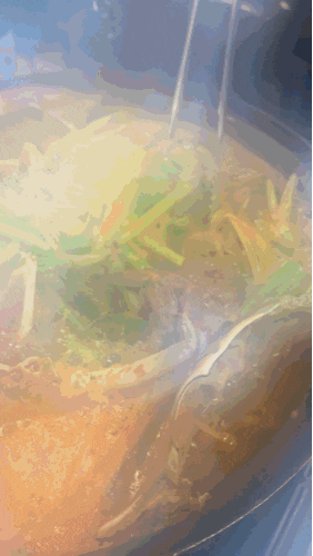 마장동맛집에서 만난 서산 산꽃게, 입에서 살살 녹는 꽃게탕