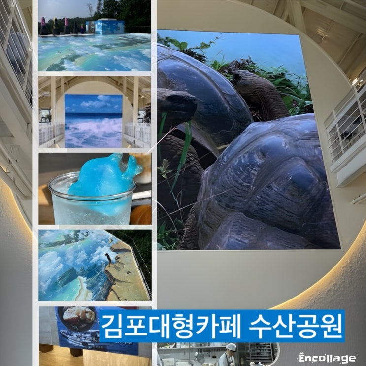  김포 수산공원 바다가 살아 숨시고 아이들이 좋아하는 고래가 있는 대형카페 나들이!!