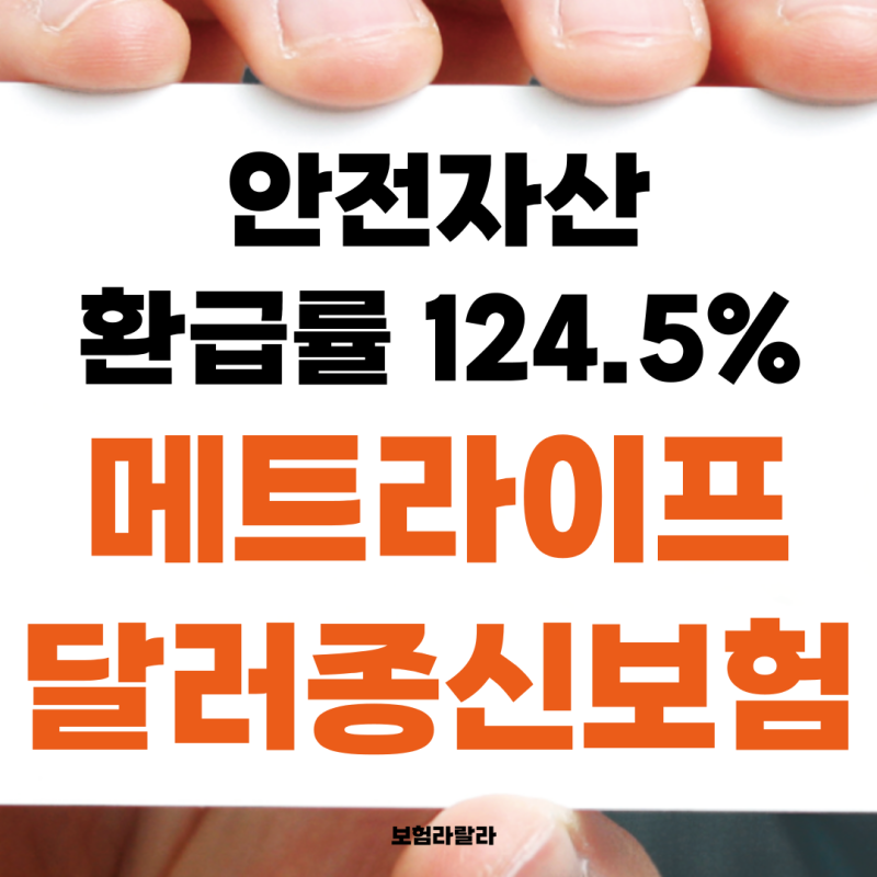 메트라이프 종신보험 달러로 환차익까지??