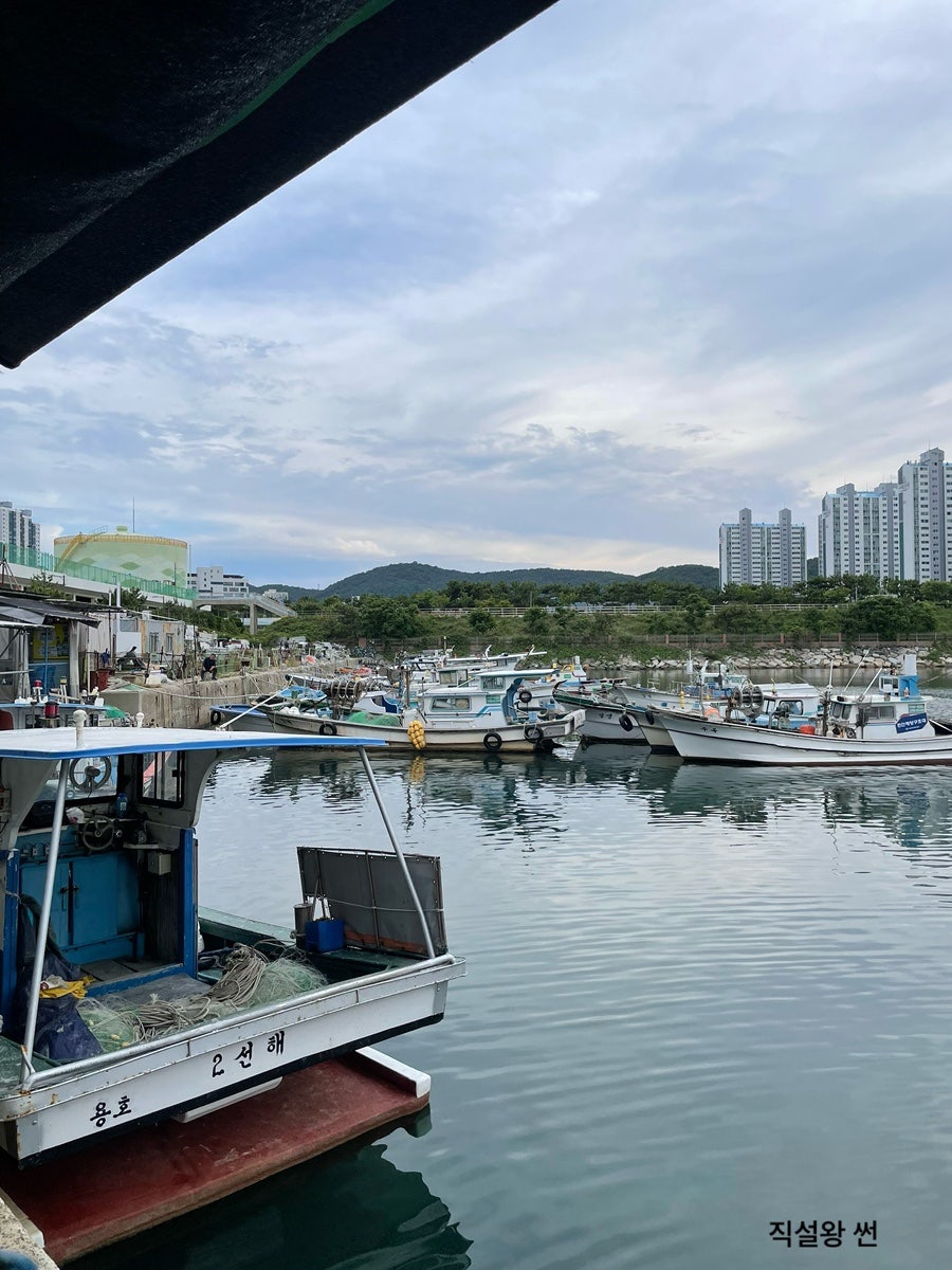 해덕호 사진 6