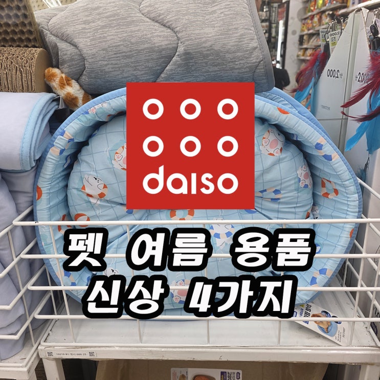  다이소 너무 열일하네...여름템 펫용품 신상4가지!!