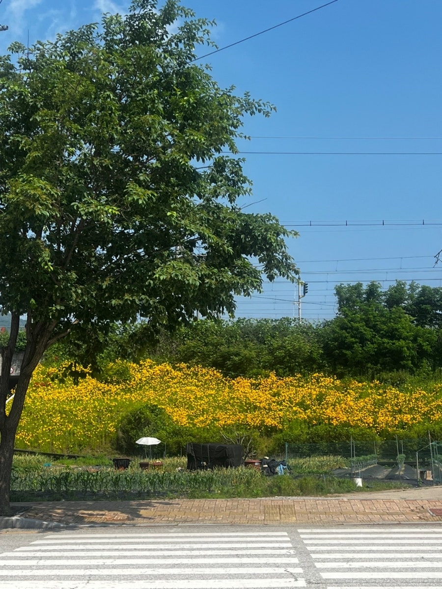 항아리토방 사진 5