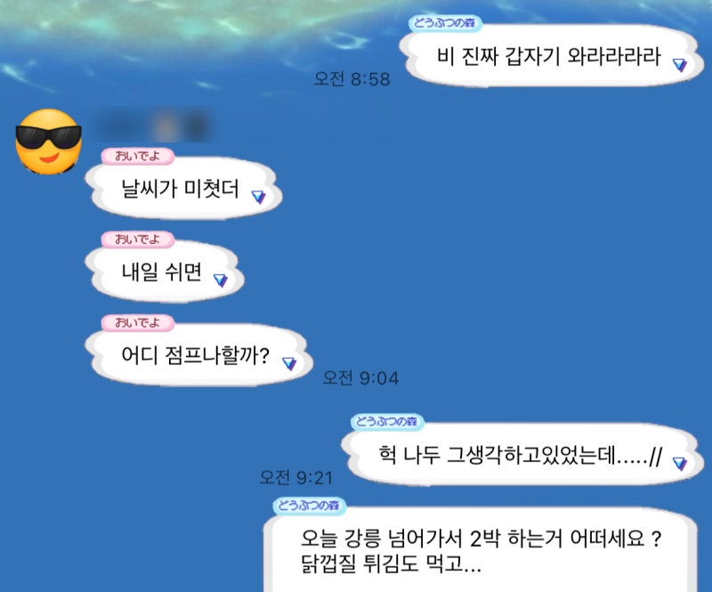 사진 8