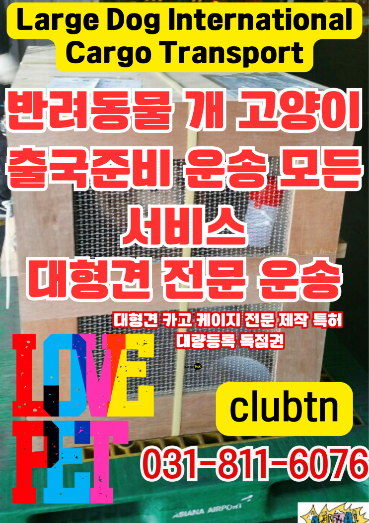  대형견 국제 운송, 케이지부터 검역까지 완벽 지원! 대형견 해외 운송 카고 운송