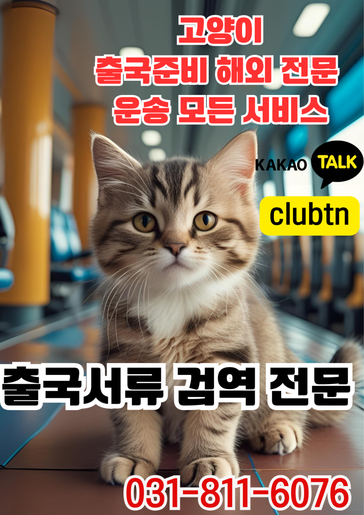  고양이 해외 운송 고양이 해외 출국 서류 반려묘 카고 운송 고양이 검역 서류 대행 서비스
