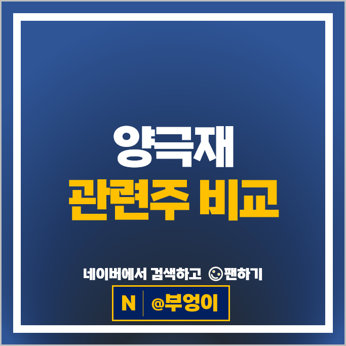 2차전지 양극재 관련주 엘지화학 삼성SDI 에코프로 엔켐 주가 엘앤에프 코스모신소재 주식 2차전지 양극재 관련주 엘지화학 삼성SDI 에코프로 엔켐 주가 엘앤에프 코스모신소재 주식