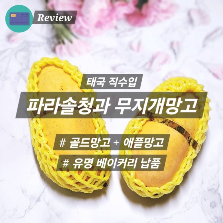  무지개망고 과일선물세트 유명베이커리 납품 검증된맛