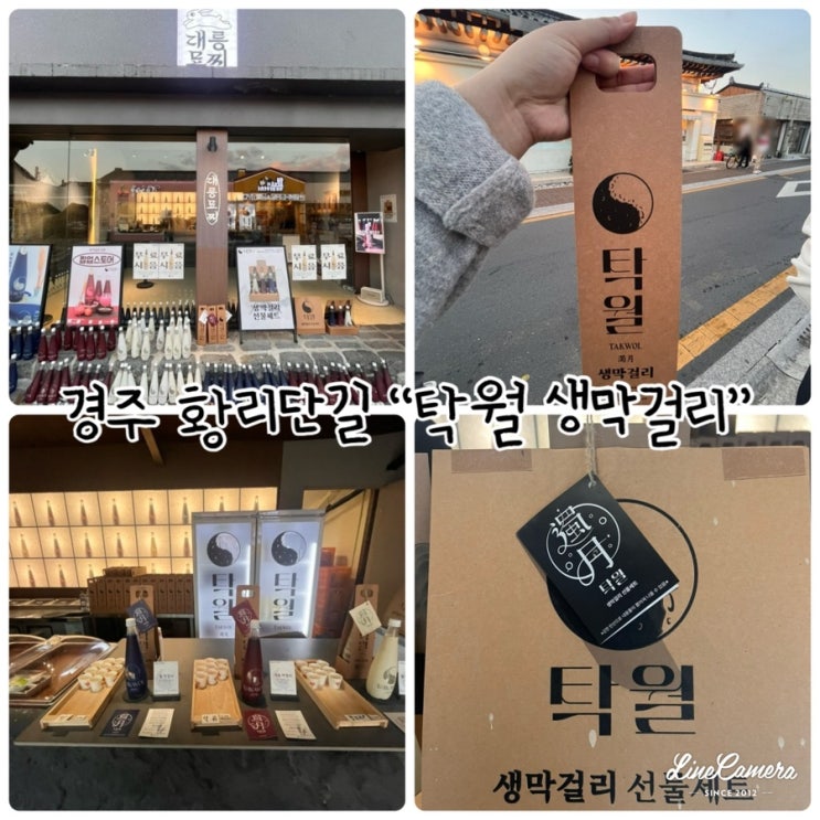  경주 황리단길 "탁월 생막걸리" 선물용, 기념품으로 좋은 전통주