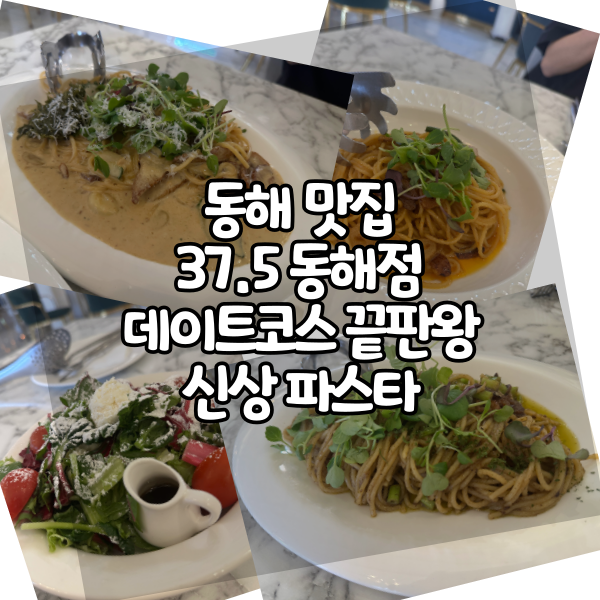  동해 맛집 37.5 동해점 데이트코스 끝판왕 신상 파스타