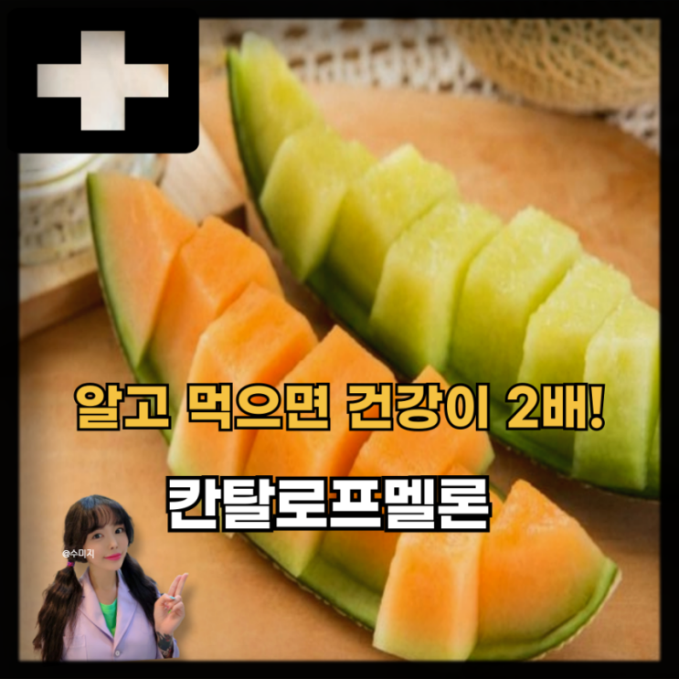  칸탈로프 멜론 주황색 메론 효능 칼로리