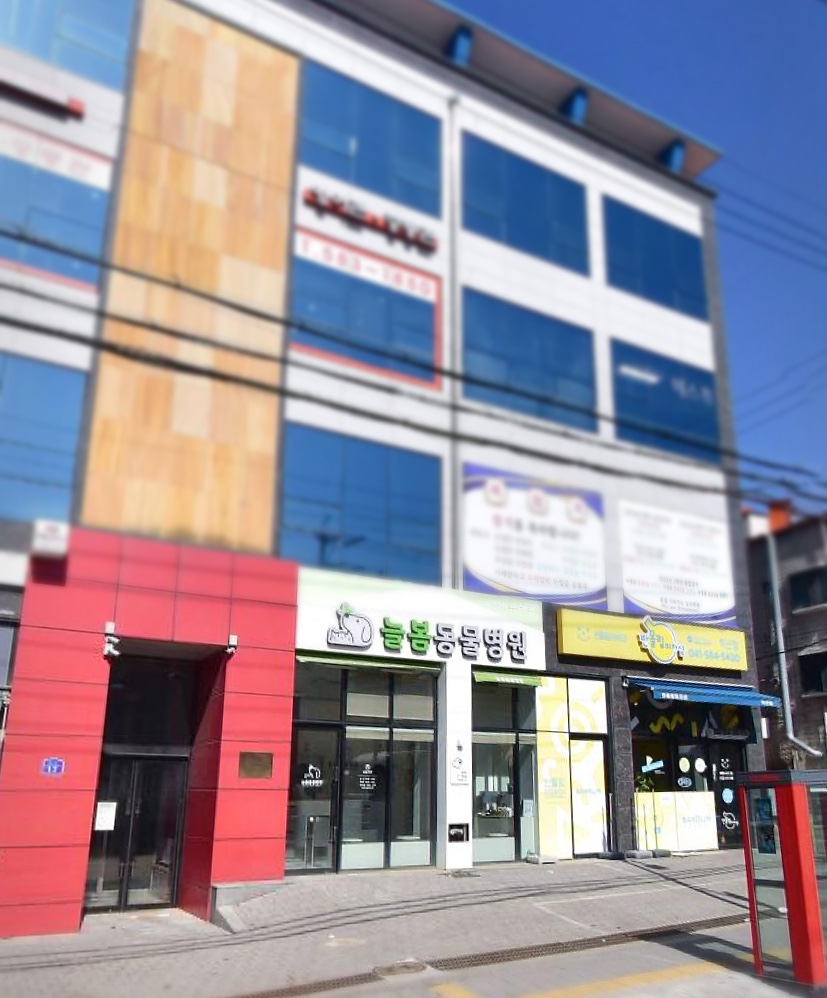 늘봄동물병원 사진 1