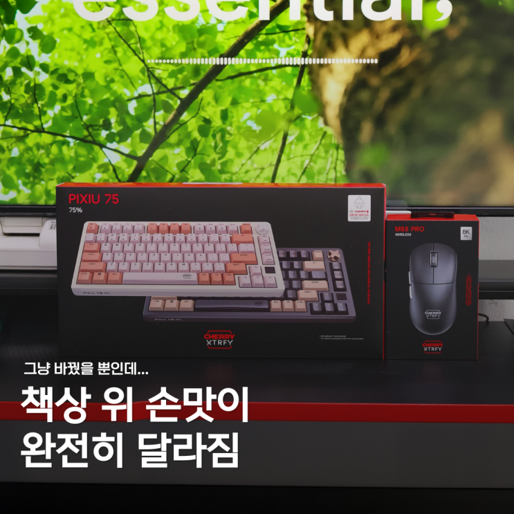  게이밍키보드 찾다 인생 마우스도 만남, 체리 PIXIU 75, M68 PRO 솔직 리뷰