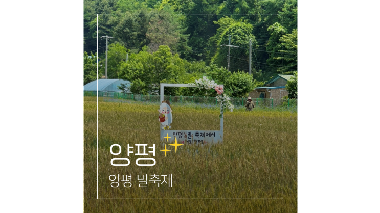 양평 밀축제 볼거리 놀거리 ㅣ 서울근교 경기도 주말 가볼만한곳
