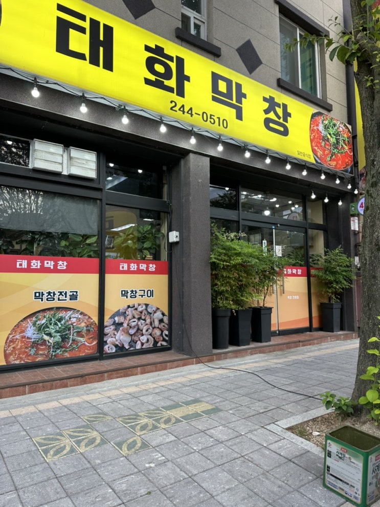  곱창 같이주는 국내산 ‘태화막창’ 울산중구