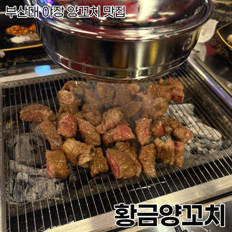  부산대에서 야장하면서 양꼬치까지 먹을 수 있는 곳 황금 양꼬치