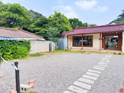 사진 5