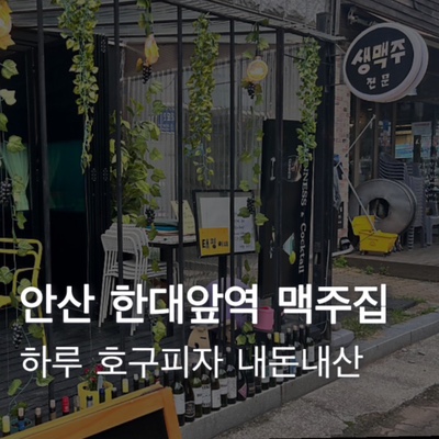  [안산] 한대앞역 생맥주 전문점 데이트하기 좋은 맥주맛집 하루 (호구피자)