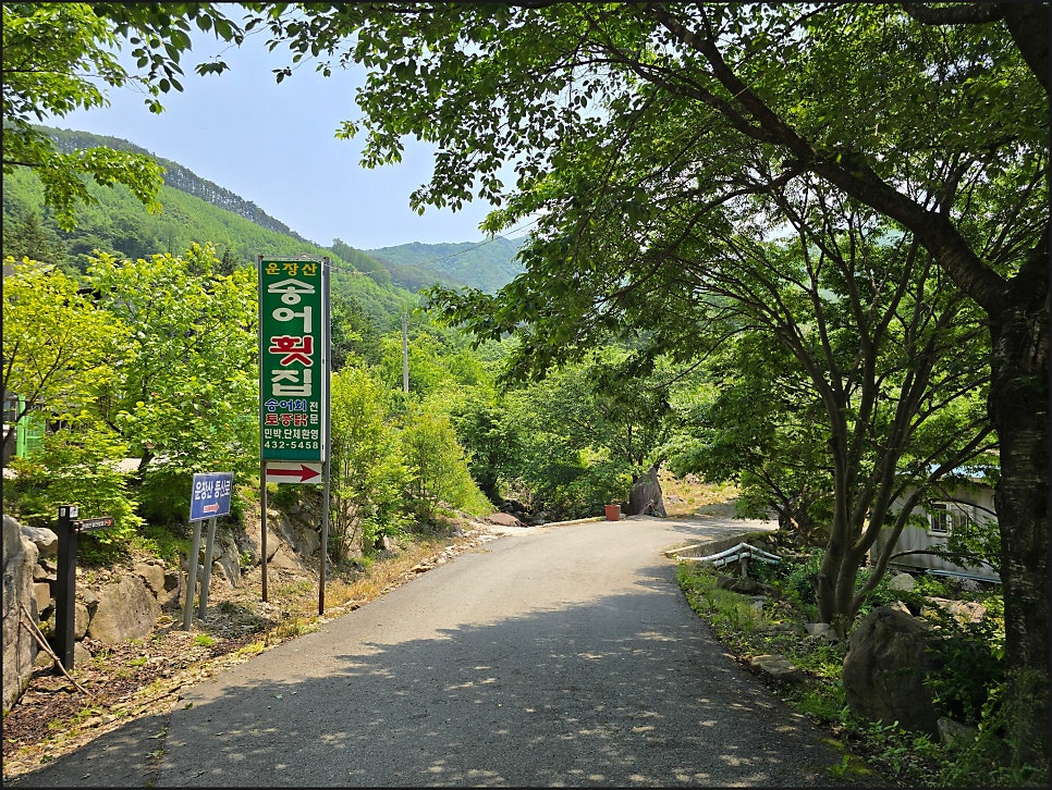 운송정 사진 3