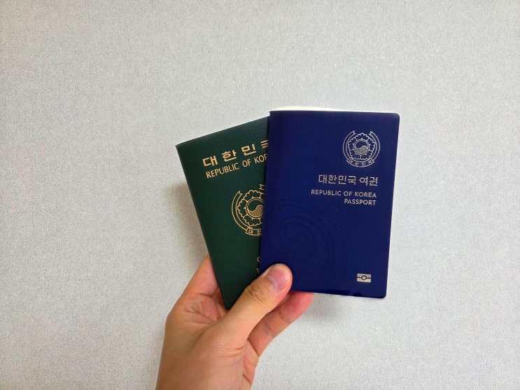  온라인 여권 재발급 기간 사진 규격 준비물
