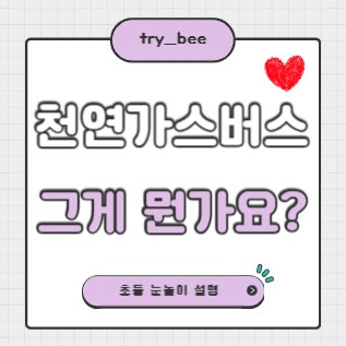 천연가스버스란? 초등학생도 이해하는 친환경 버스 이야기