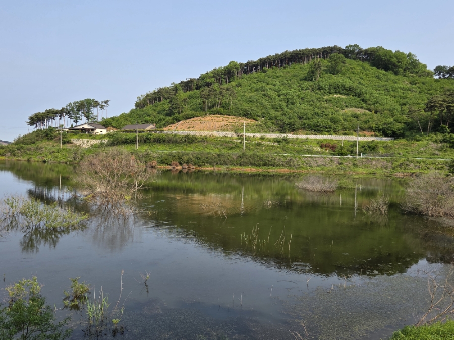 주만골 사진 6