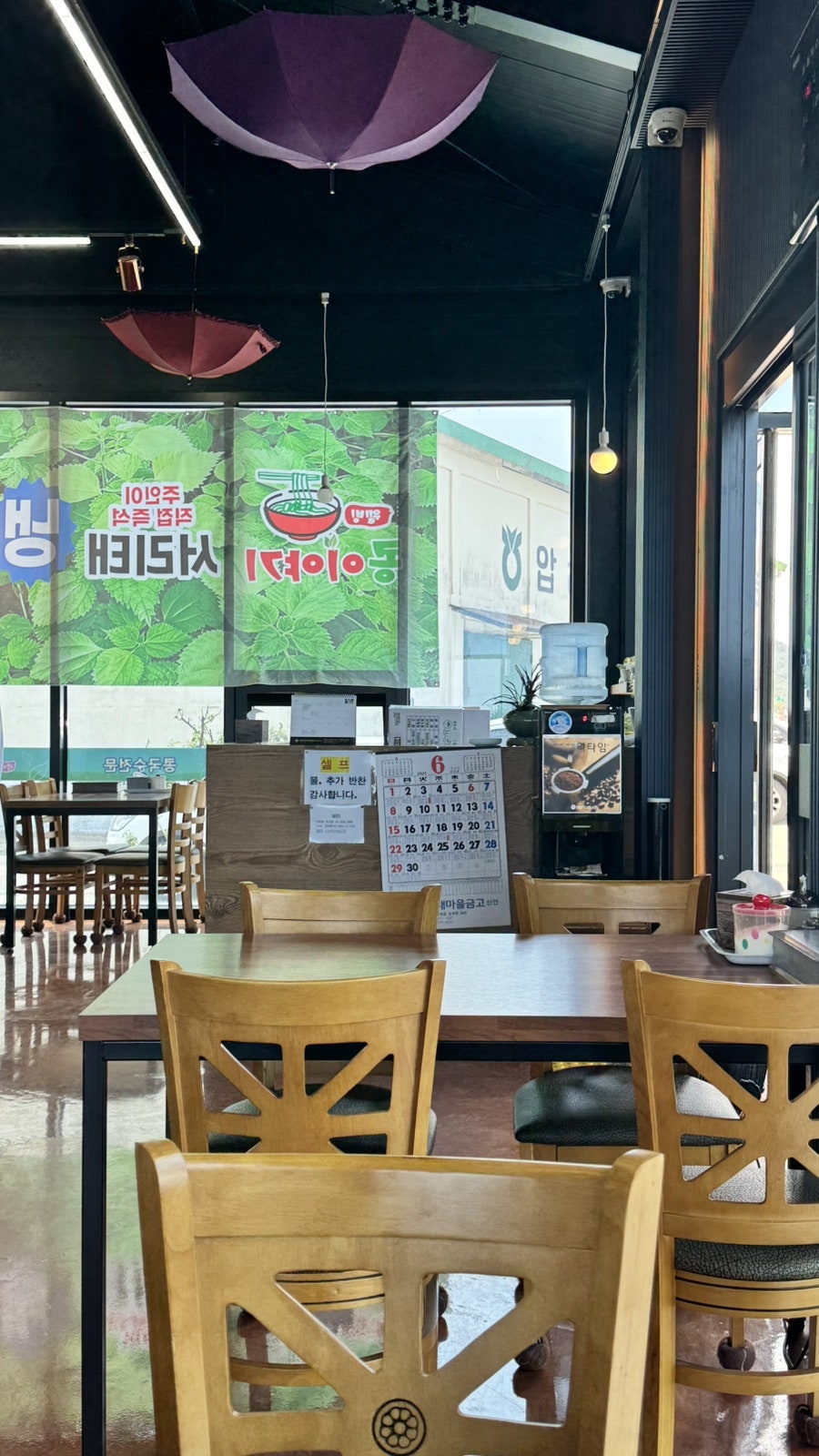 콩이야기 사진 5
