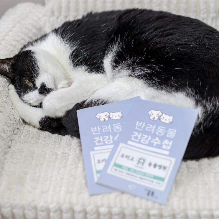  범백 요즘은 다 죽는병 아니예요 최근치료경향