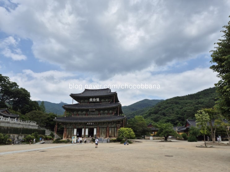  김제 금산사 모악산 백제시대 사찰 풍경과 주차정보 전북 가족여행 가볼만한 곳