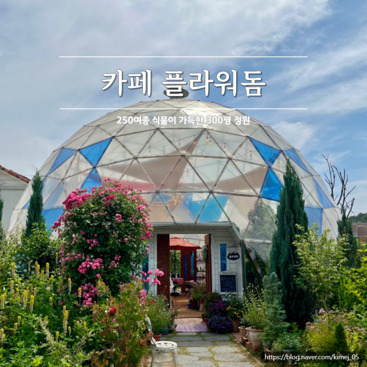  아산 식물원 같은 힐링 정원 카페 플라워돔 장미