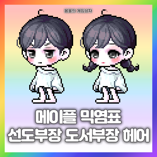  메이플스토리 선도부장 헤어, 도서부장 헤어 믹염표