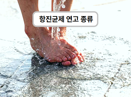 항진균제 연고 종류 가장 많이 팔리는 제품이 궁금하다면