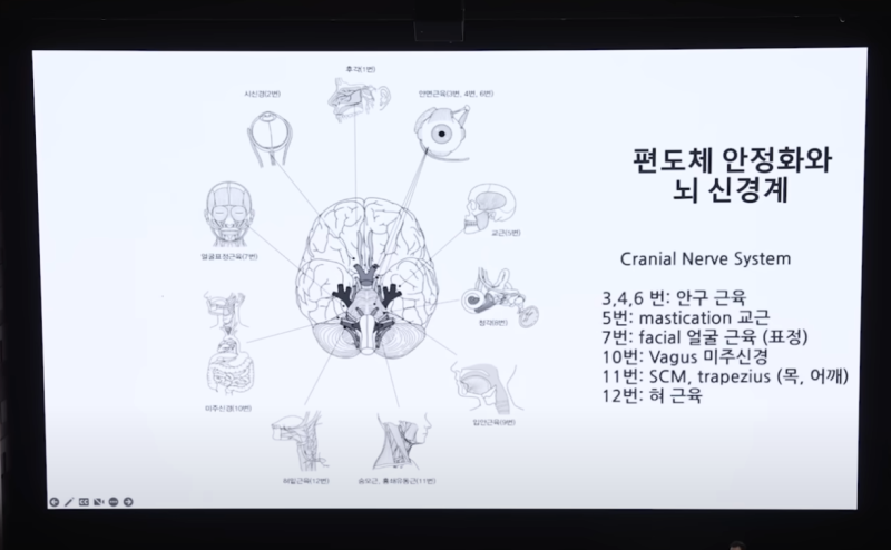 [시포] 종료와 다음 페이즈. 척추, 브레인포그, SNEPI