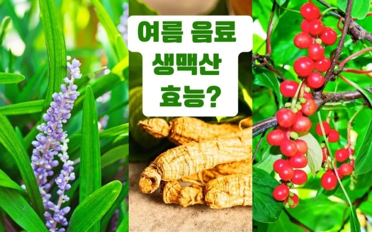  여름 한방차 생맥산 효능 주의사항 차만들기 인삼 대신 황기?