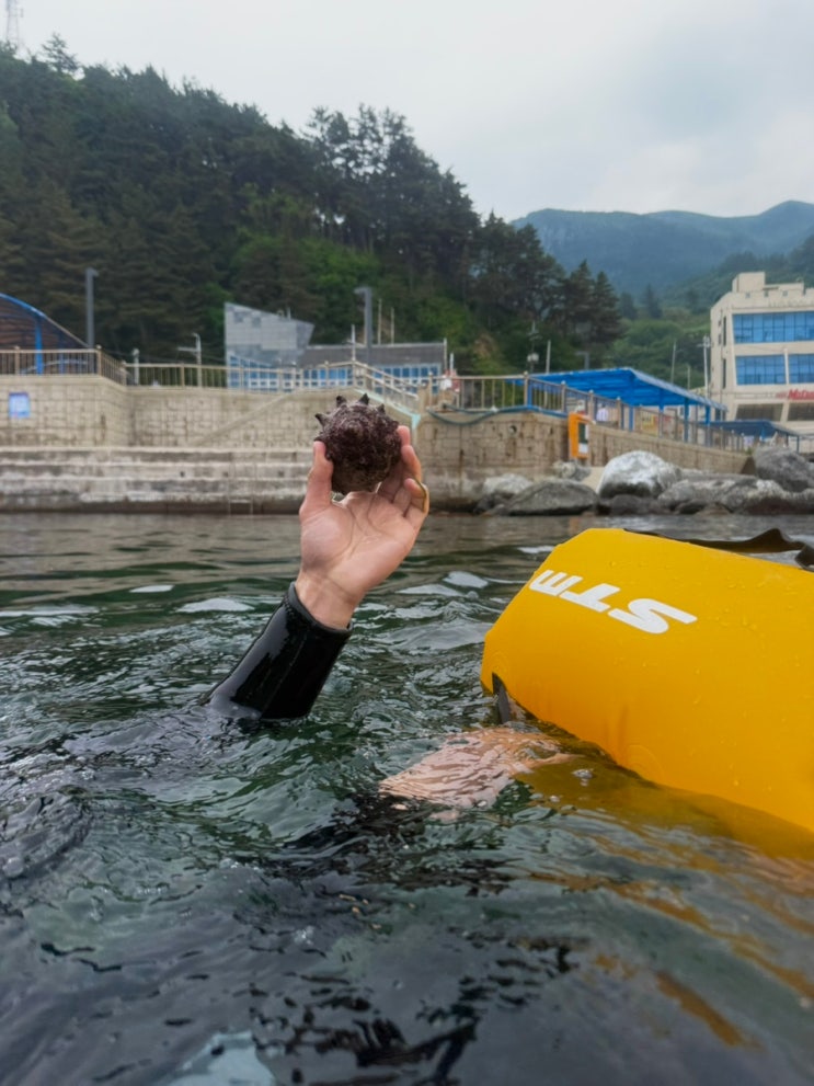  [울릉도 여행] 3박 4일 백패킹 자유여행 1일차 ️ 박지 몽돌해변 맛집 스노클링