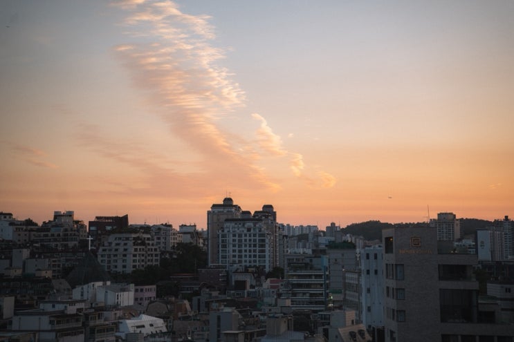  일상 기록 1. 하늘, 오길수, 볼라레 서래 마을, 당신의 나무, 단 한 번의 삶