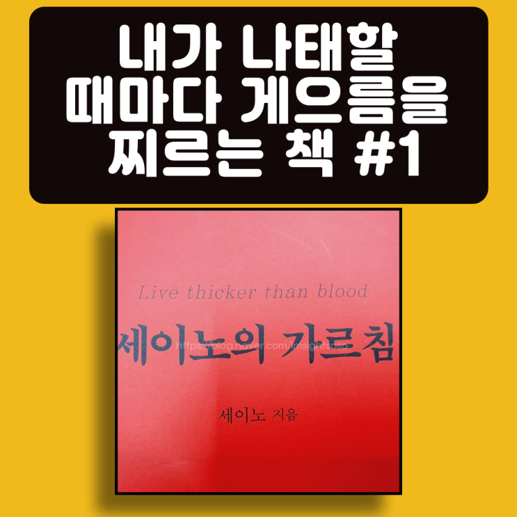  세이노의 가르침, 세이노, 게으름 극복 필독서, 자기계발 책추천: 내가 나태할 때마다, 게으름을 찌르는 책 #1