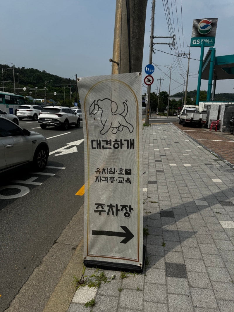 사진 2