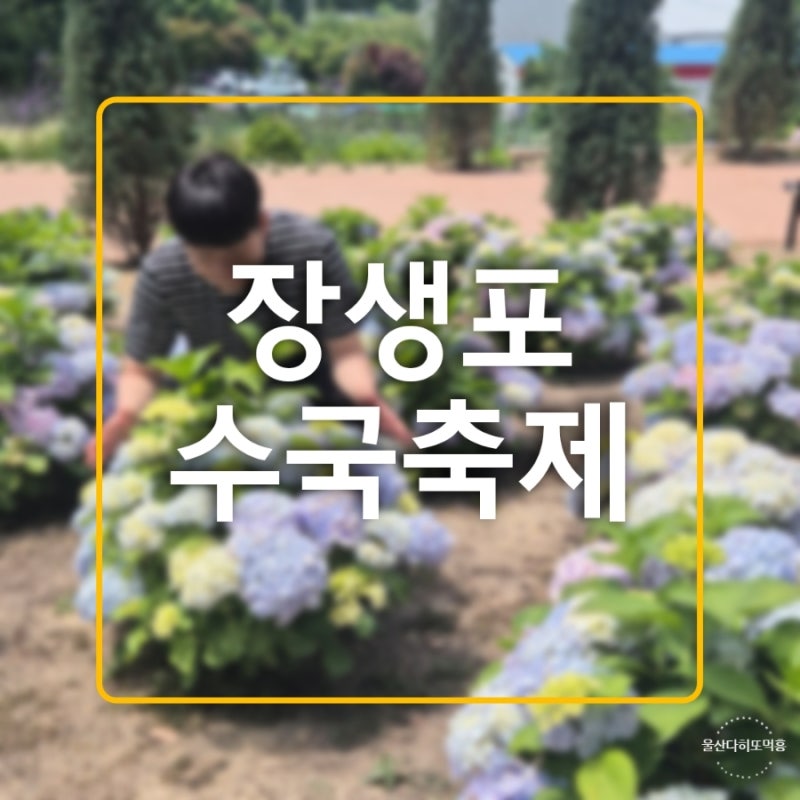 사진 3