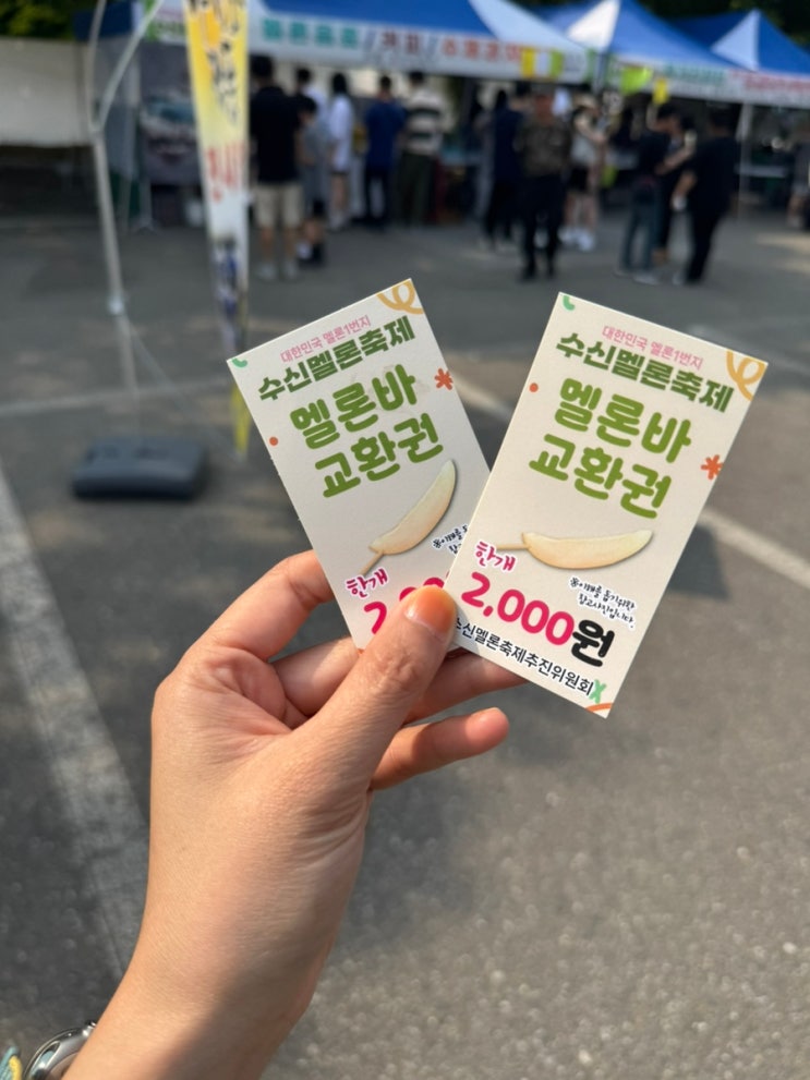  2025 수신멜론 축제 현장 체험 후기(주차, 시식, 수확시기 꿀팁)