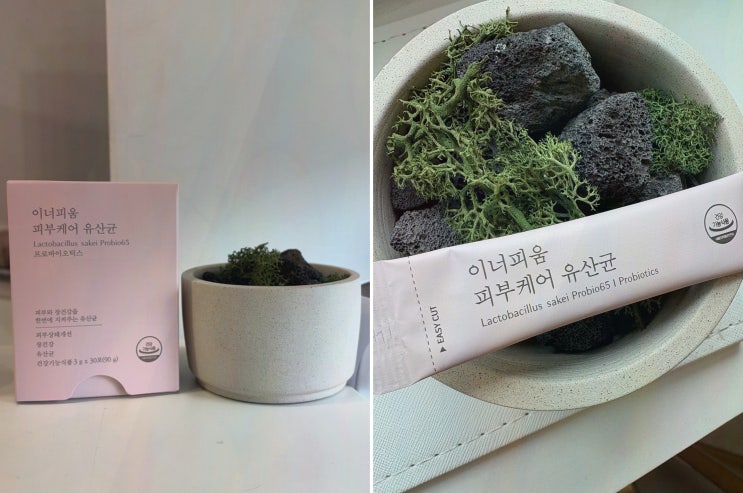  이너피움 피부케어 유산균, 피부 건강을 위한 최적의 선택!