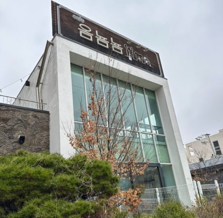  알파카, 강아지, 앵무새, 돼지와 교감하는 이색적인 남양주 애견동반 카페 '옴뇸뇸'